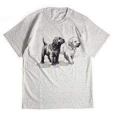 画像1: Coming & Going Designs Labrador Puppies T-Shirts Ash / カミングアンドゴーイングデザイン ラブラドール パピーズ Tシャツ アッシュ (1)