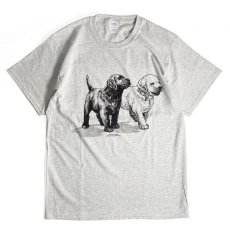 画像1: Coming & Going Designs Labrador Puppies Tee - Ash (1)