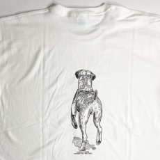 画像2: Coming & Going Designs Boxer Dropped Ears T-Shirts White / カミングアンドゴーイングデザイン ボクサー Tシャツ ホワイト (2)