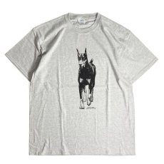 画像1: Coming & Going Designs Doberman Cropped Ears T-Shirts Ash / カミングアンドゴーイングデザイン ドーベルマン Tシャツ アッシュグレー (1)