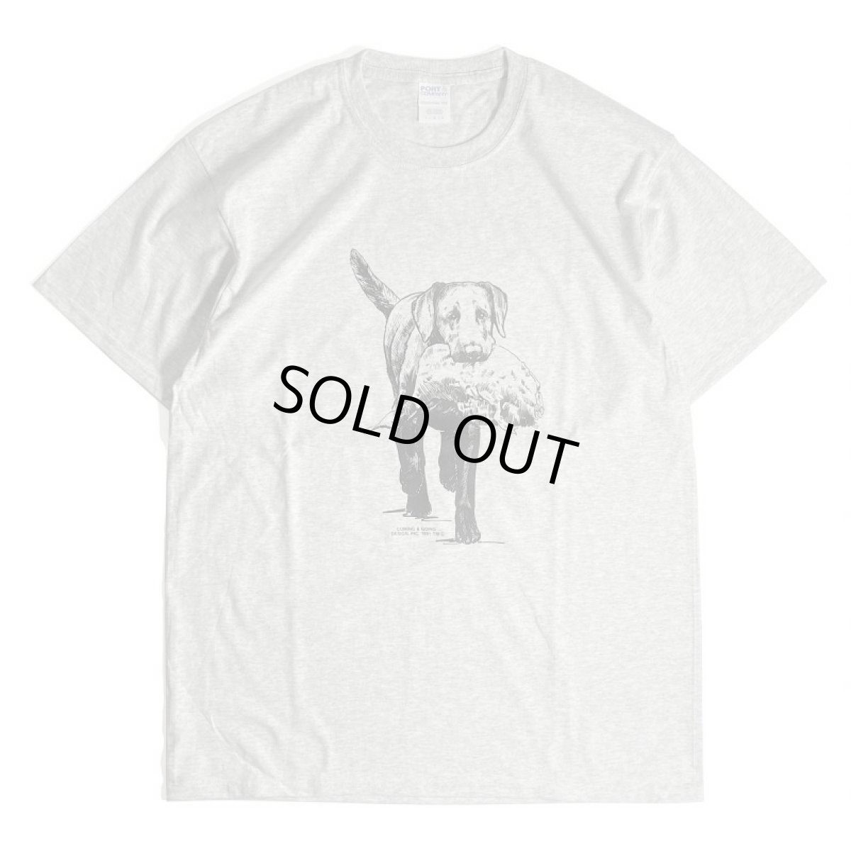 画像1: Coming & Going Designs Labrador Hunting Tee - Ash (1)