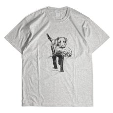画像1: Coming & Going Designs Labrador Hunting Tee - Ash (1)