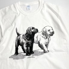 画像3: Coming & Going Designs Labrador Puppies T-Shirts White / カミングアンドゴーイングデザイン ラブラドール パピーズ Tシャツ ホワイト (3)