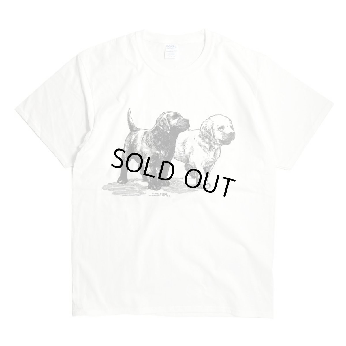 画像1: Coming & Going Designs Labrador Puppies Tee - White (1)