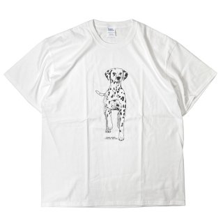 Sonic Youth S/S T-Shirts White - RAWDRIP