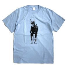 画像1: Coming & Going Designs Doberman Cropped Ears T-Shirts Blue / カミングアンドゴーイングデザイン ドーベルマン Tシャツ ブルー (1)