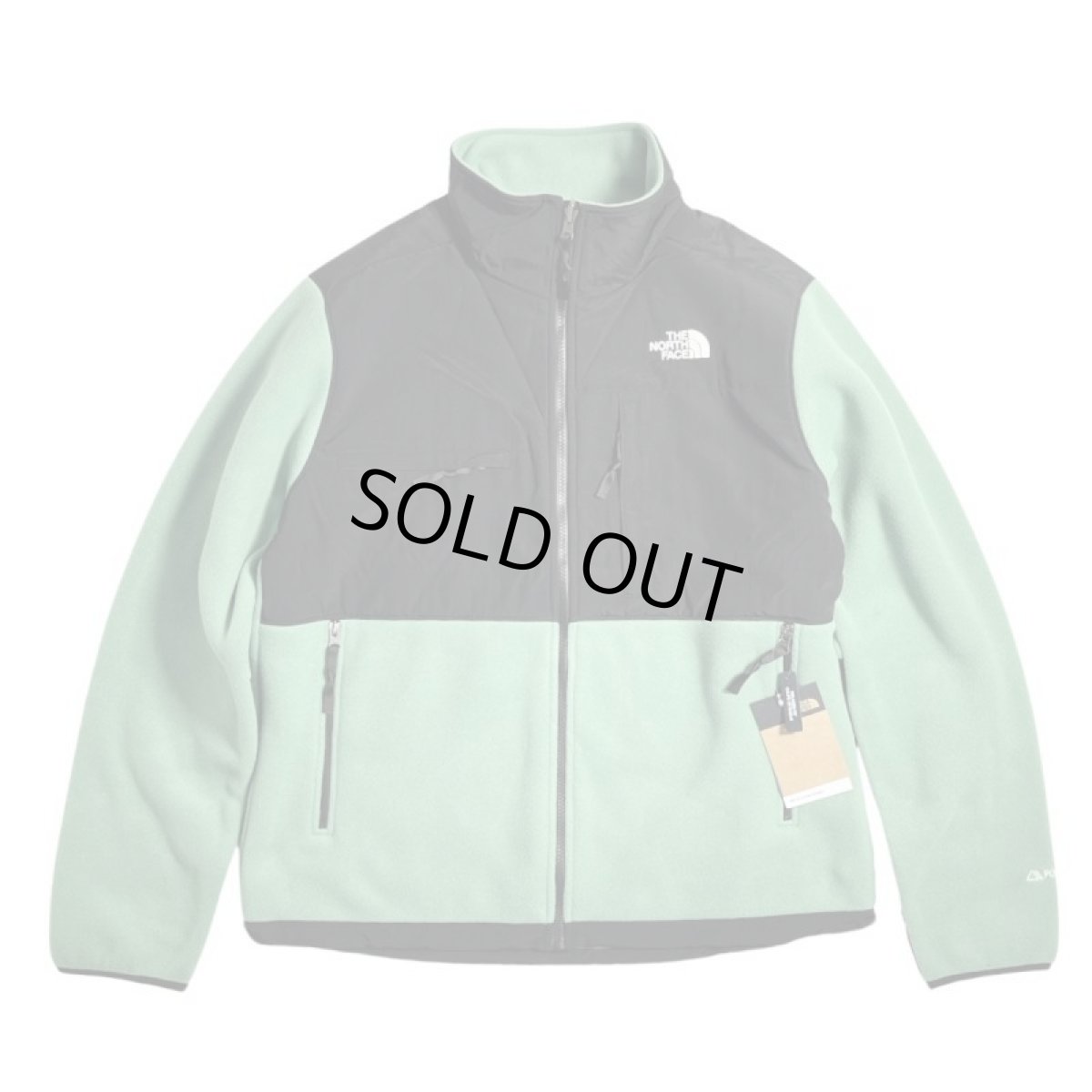 画像1: The North Face USA Denali Jacket - Deep Glass Green (1)