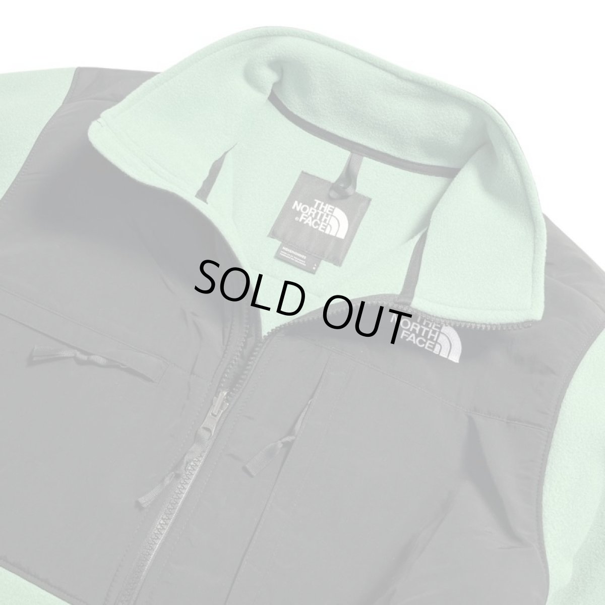 画像3: The North Face USA Denali Jacket - Deep Glass Green (3)