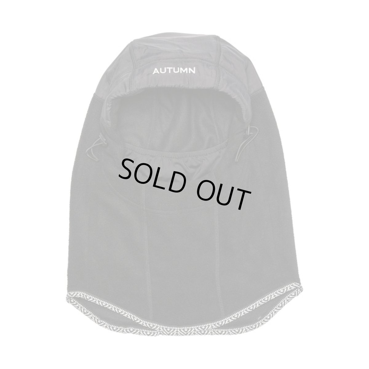 画像4: Autumn Hi Tek Hood (4)