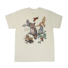 画像1: Liberty Graphics Field Guide To Owls S/S T-Shirts Stone / リバティグラフィックス ショートスリーブ Tシャツ ストーン (1)