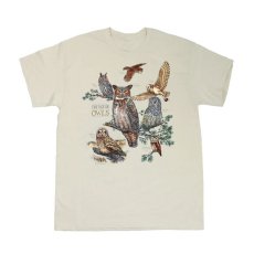 画像1: Liberty Graphics Field Guide To Owls S/S T-Shirts Stone (1)