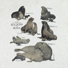 画像2: Liberty Graphics Sea Lion & Seals S/S T-Shirts Ash / リバティグラフィックス ショートスリーブ Tシャツ アッシュ (2)