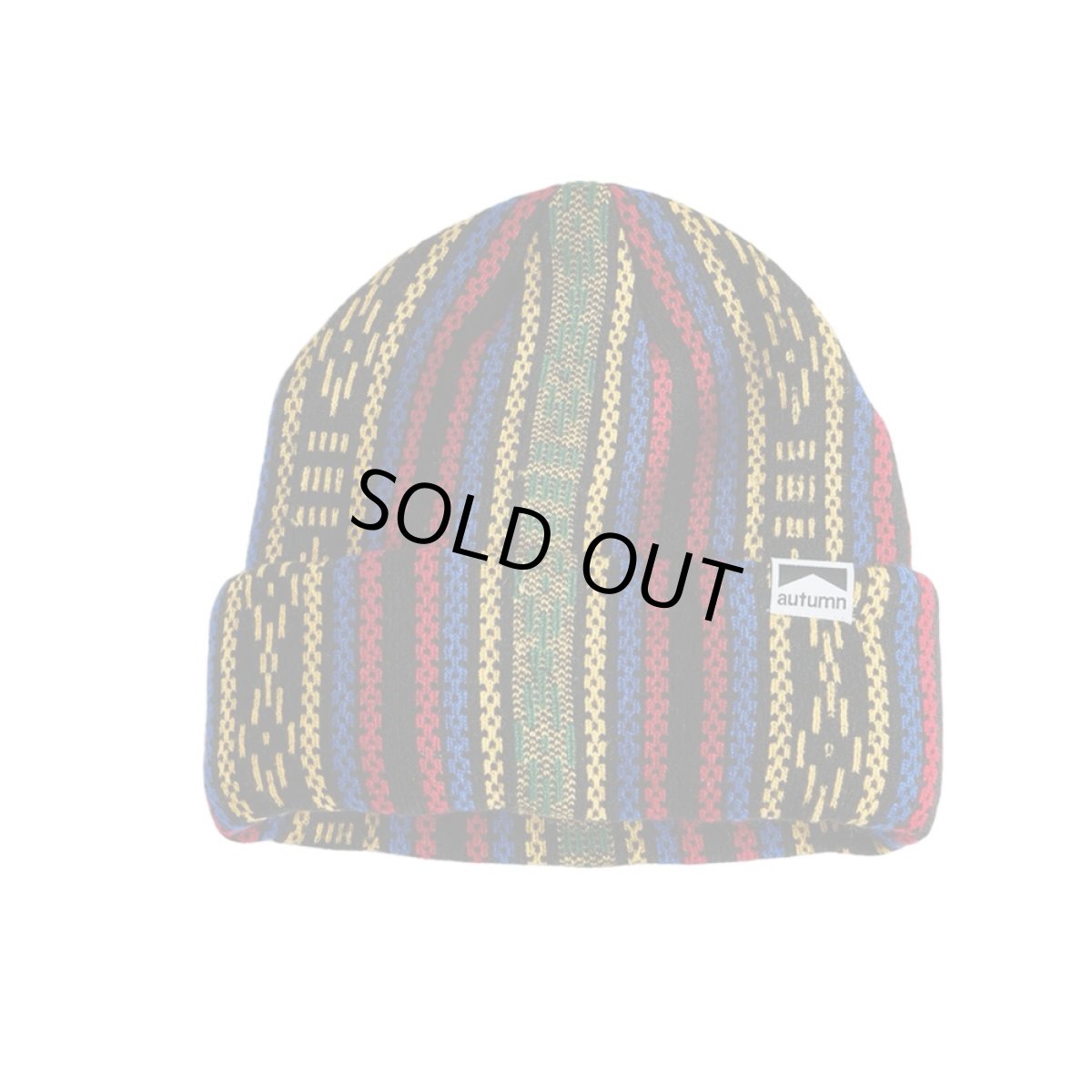 画像1: Autumn Landscape Beanie Red (1)