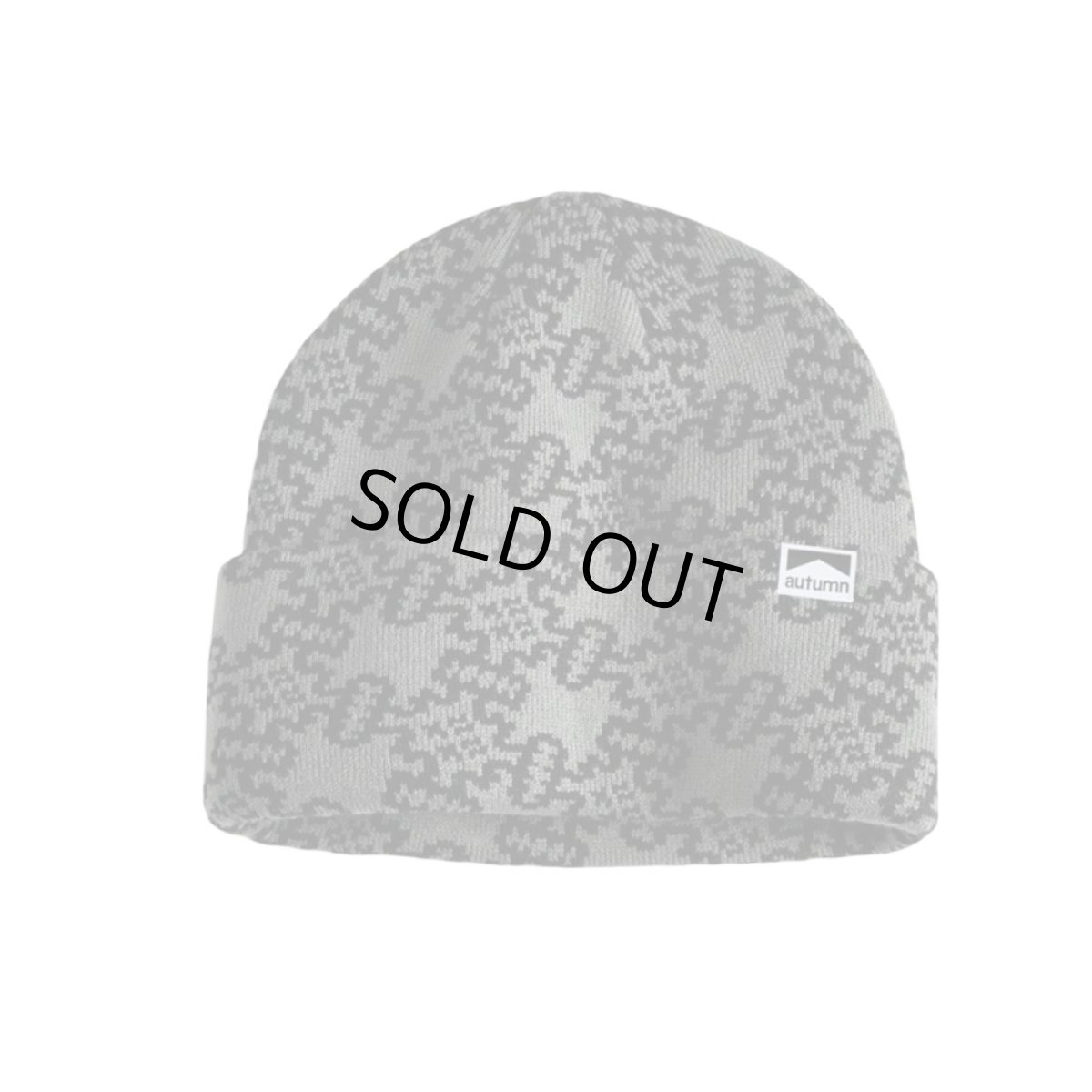 画像1: Autumn Landscape Beanie Grey (1)