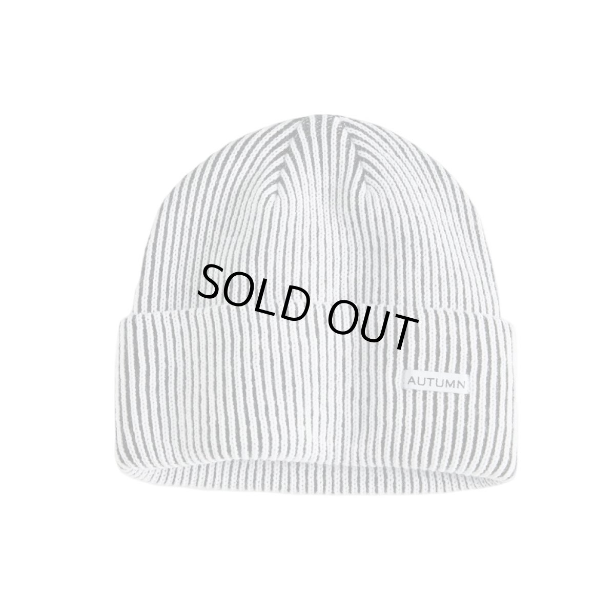 画像1: Autumn Cord Beanie WhiteｘBlack (1)