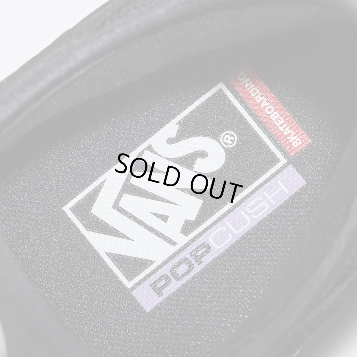 画像5: Vans Skate Rowley - Black x White (5)