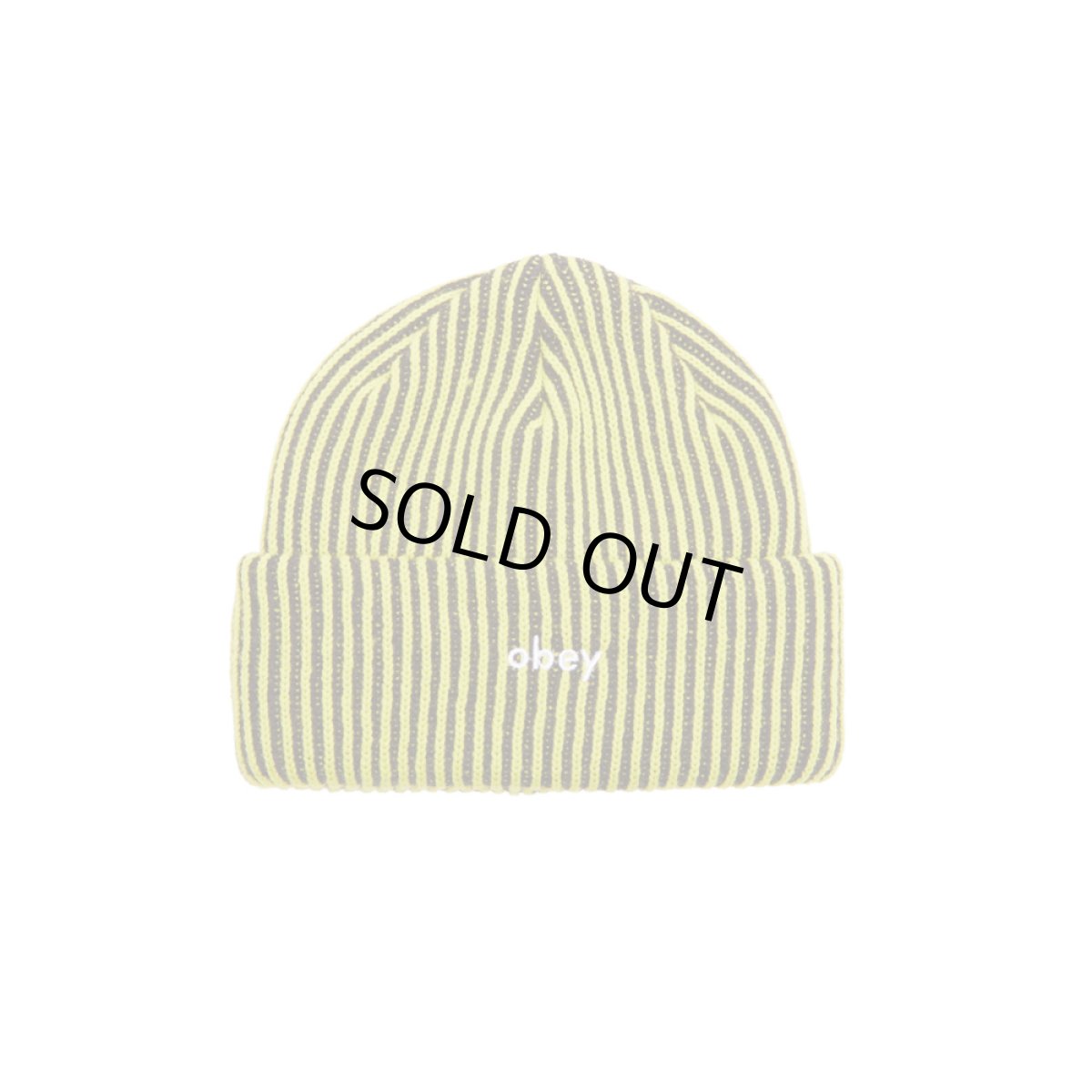 画像1: OBEY Bowery II Tone Rib Beanie - Flourescent Green Multi (1)