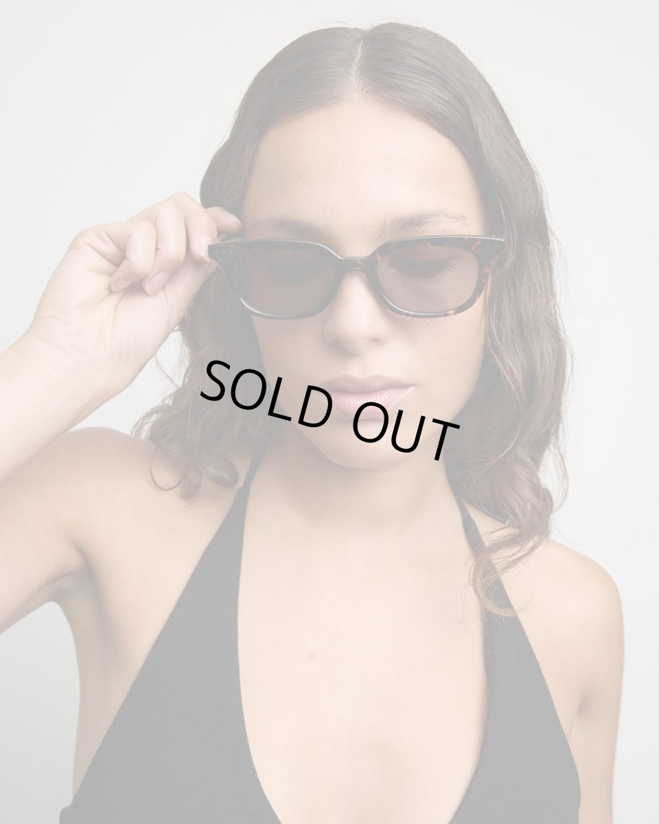 画像6: SZADE Bates - Wasp / Dune (6)