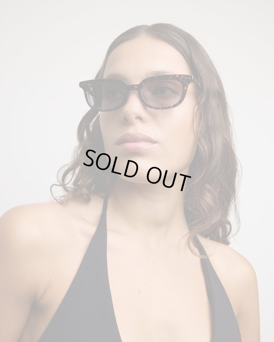 画像7: SZADE Bates - Wasp / Dune (7)