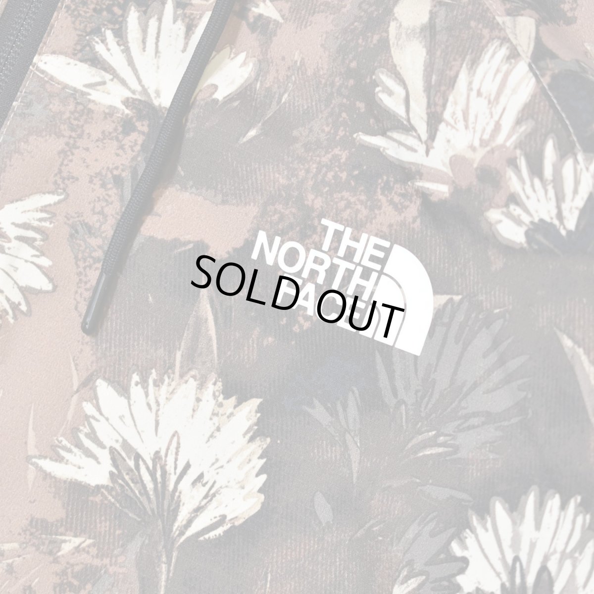 画像5: The North Face USA Antra Rain Jacket - Brown (5)