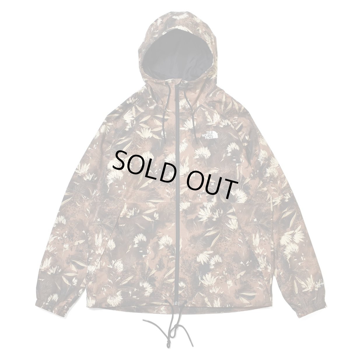 画像1: The North Face USA Antra Rain Jacket - Brown (1)