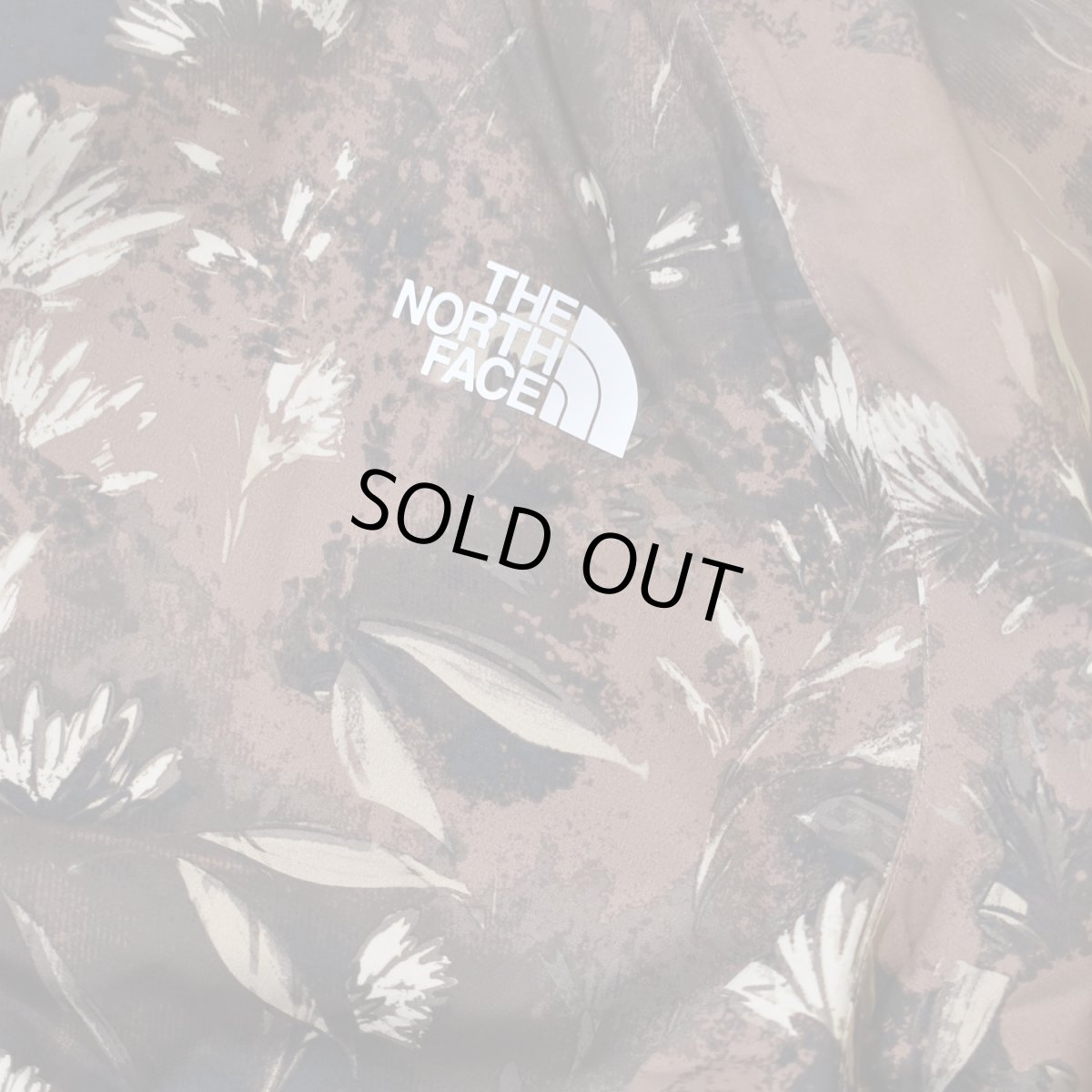 画像3: The North Face USA Antra Rain Jacket - Brown (3)