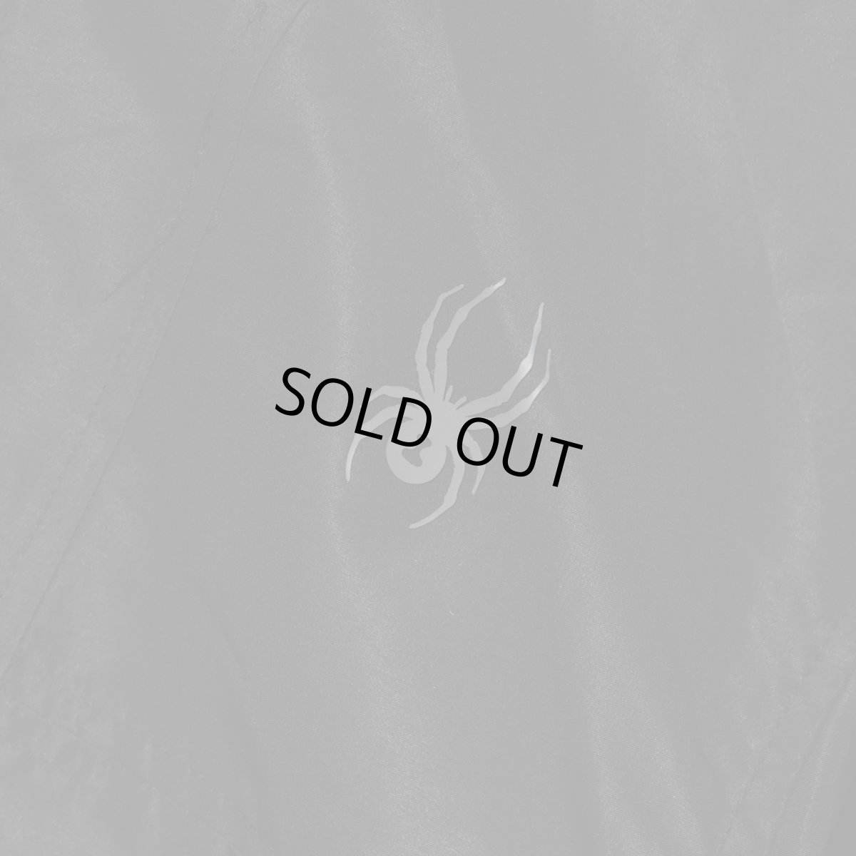 画像3: Spyder Hydroweb Nylon Hooded Jacket - Black (3)