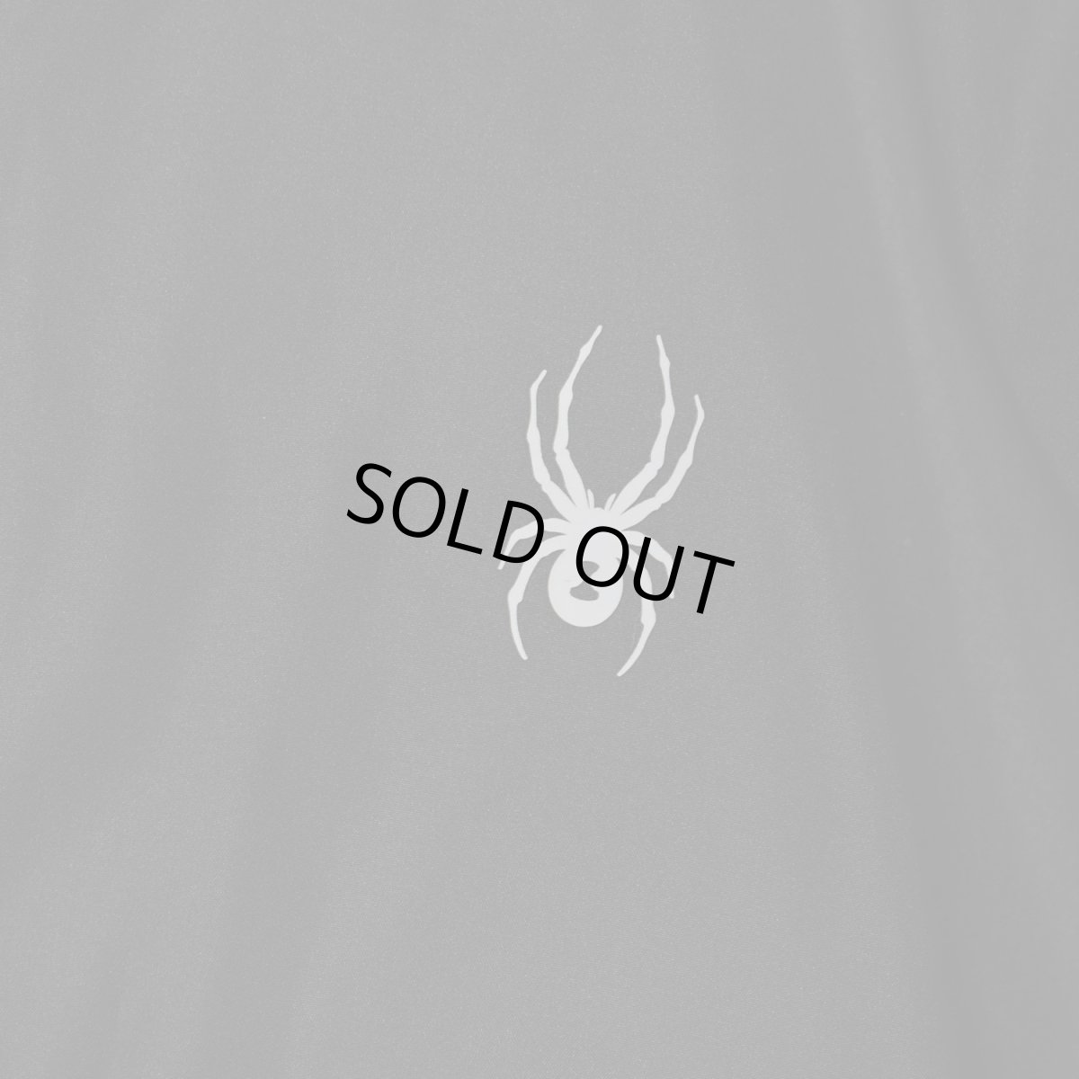 画像4: Spyder Hydroweb Line Hooded Jacket - Black (4)