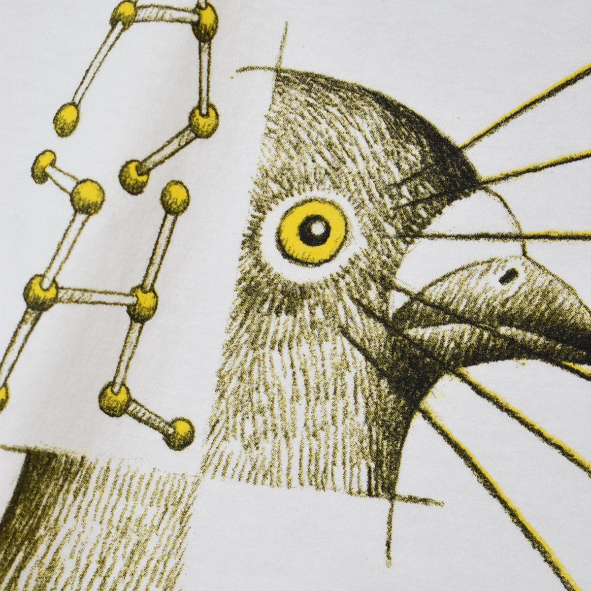 画像4: Anti Hero Molecular Pigeon Tee - White (4)