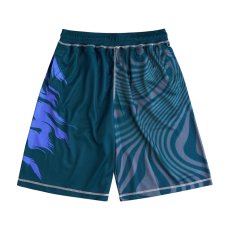 画像1: Token Dazed Mesh Shorts - Dark Teal Multi (1)