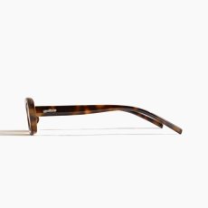 画像4: SZADE Page - Cape Tortoise/Moss Polarized (4)