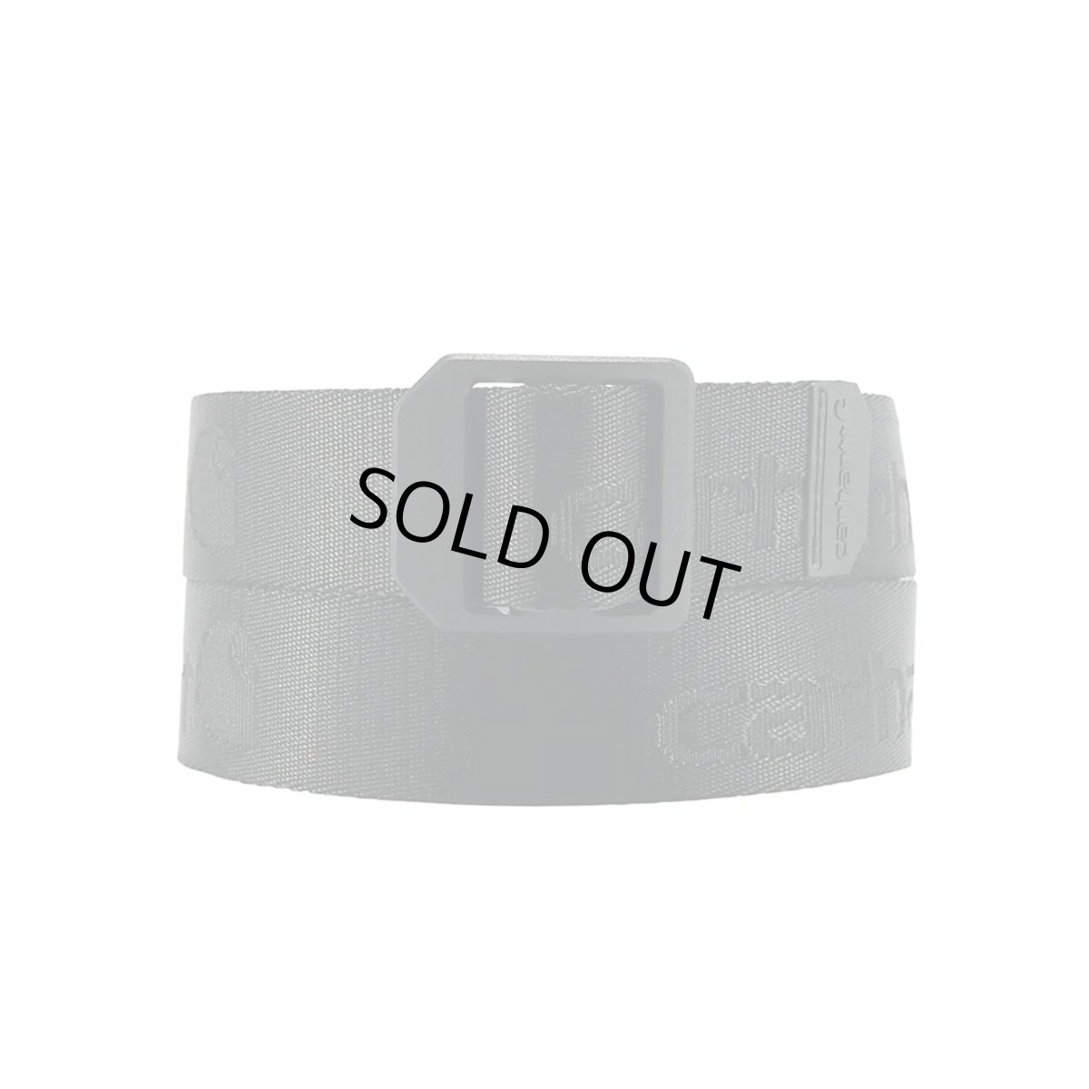 画像1: Carhartt USA Nylon Webbing Ladder Lock Belt - Black (1)