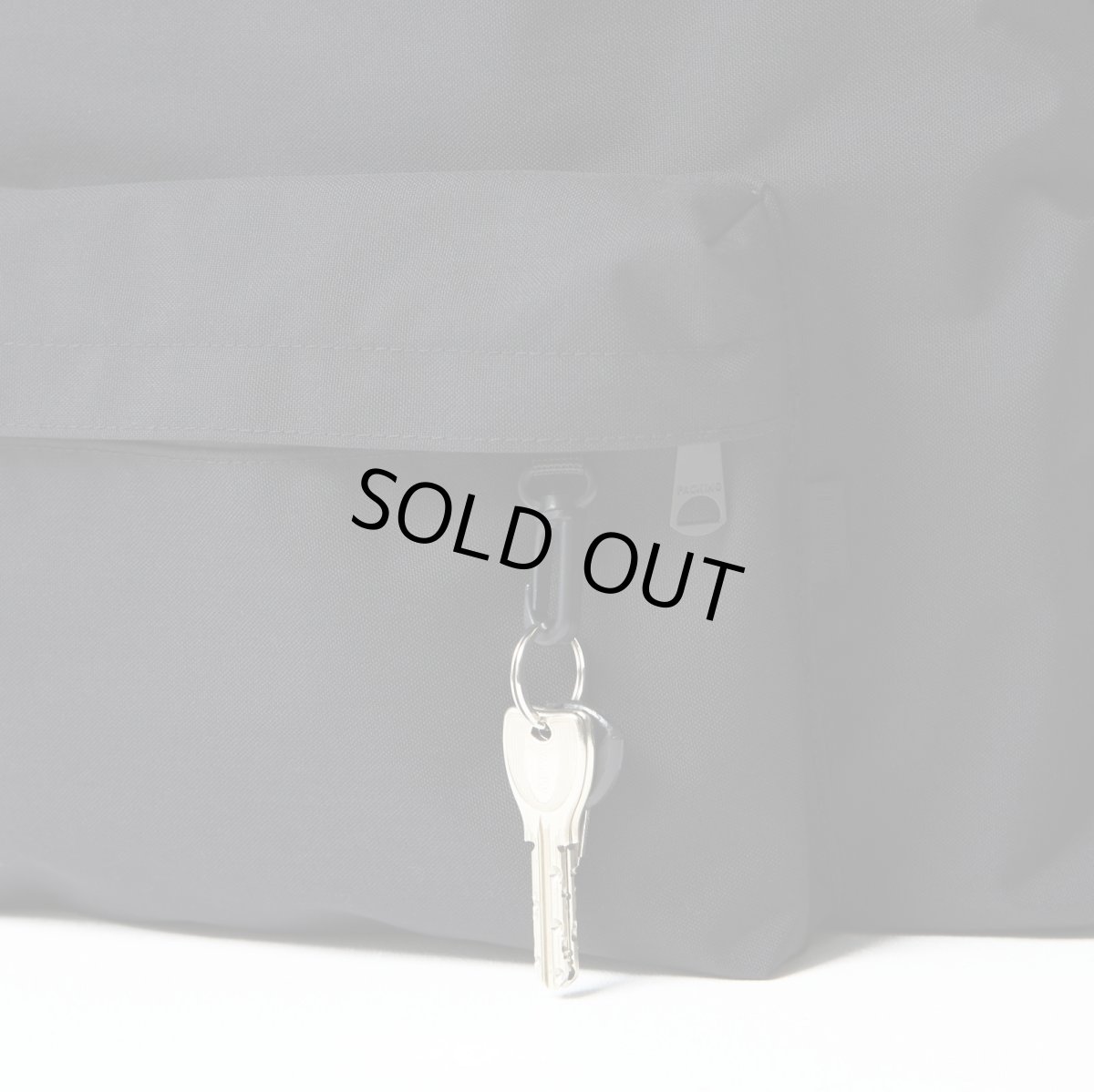 画像6: Packing Standard Backpack - Black (6)