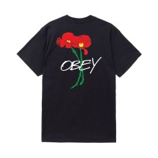 画像1: OBEY Poppies Tee - Vintage Black (1)