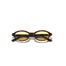 画像1: SZADE Nolan - Mustard Tortoiseshell / Caper (1)