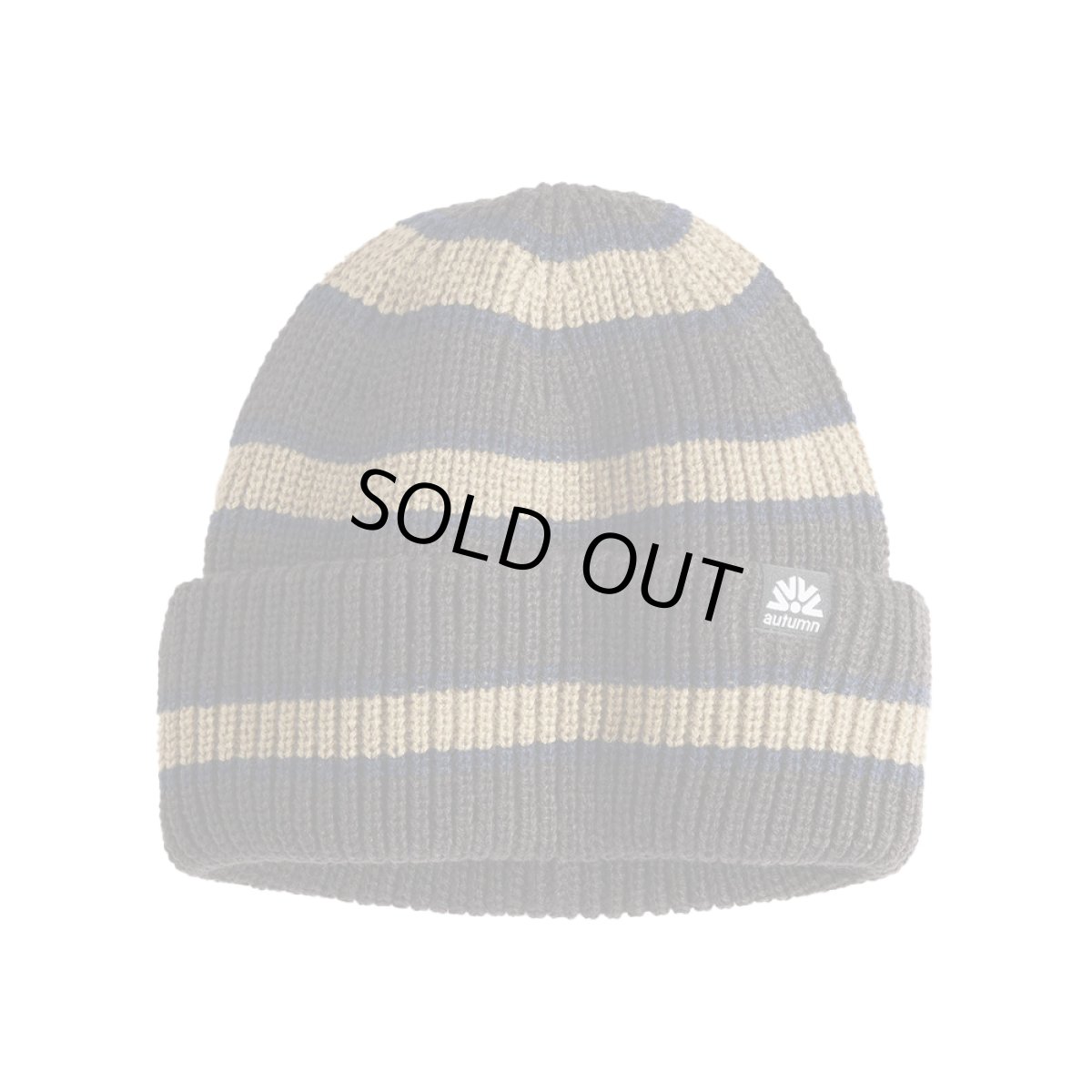 画像1: Autumn Slacker Beanie - Mineshaft (1)