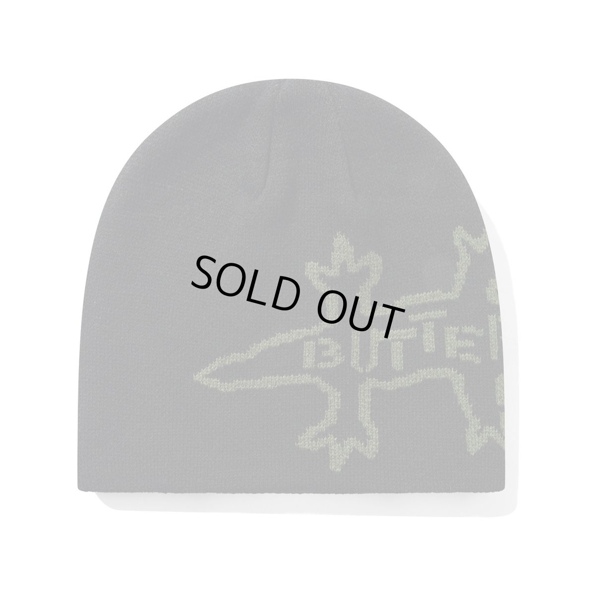 画像1: Butter Goods Reptile Skully Beanie - Black (1)