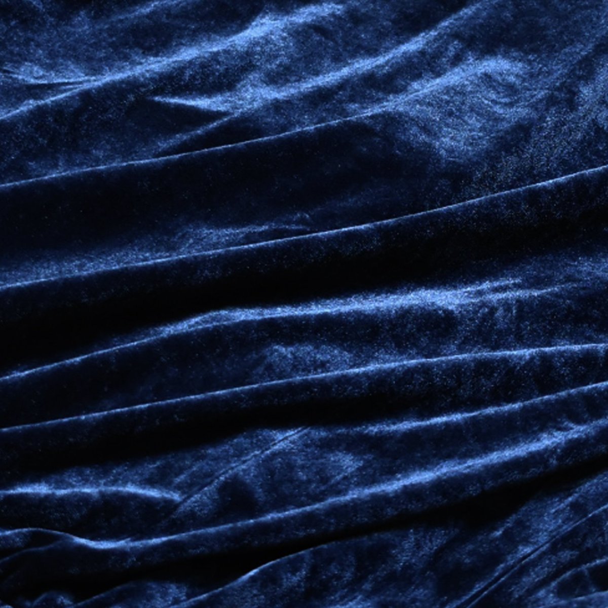 画像5: PRO CLUB Comfort Velour Track Jacket - Navy (5)