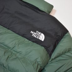 画像4: The North Face USA Limbara Insulated Jacket - Duck Green (4)