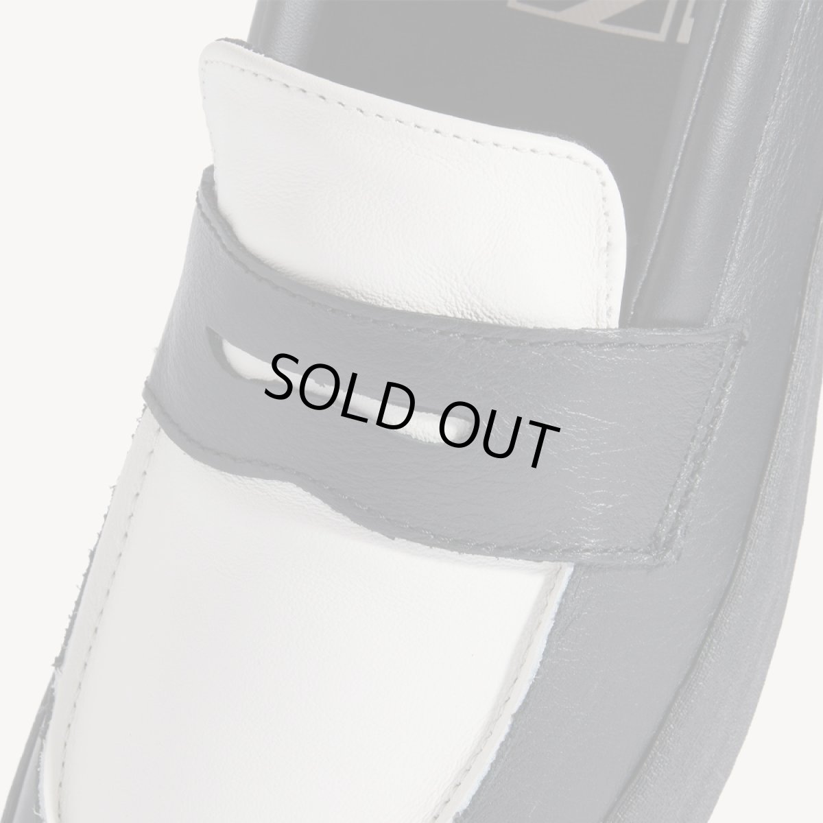 画像4: Vans Skate Loafer - Black x White (4)