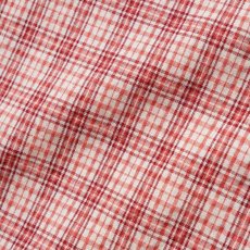 画像4: Butter Goods Equipment S/S Shirts - Rhubarb (4)