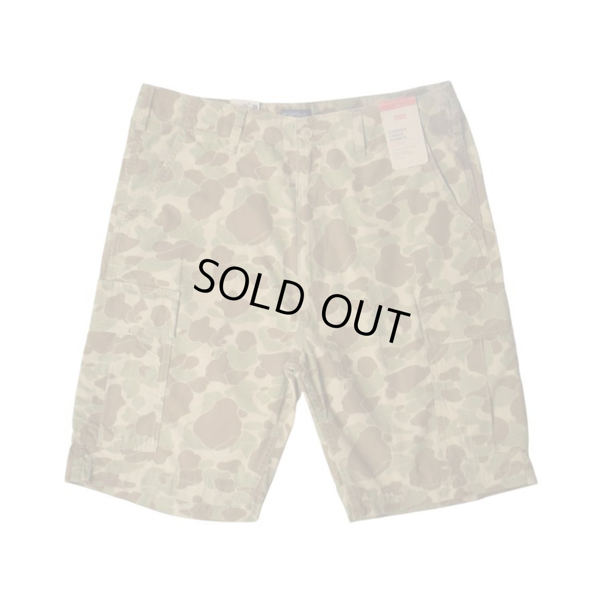 画像1: Levis Carrier Cargo Shorts - Duck Hunter Camo (1)
