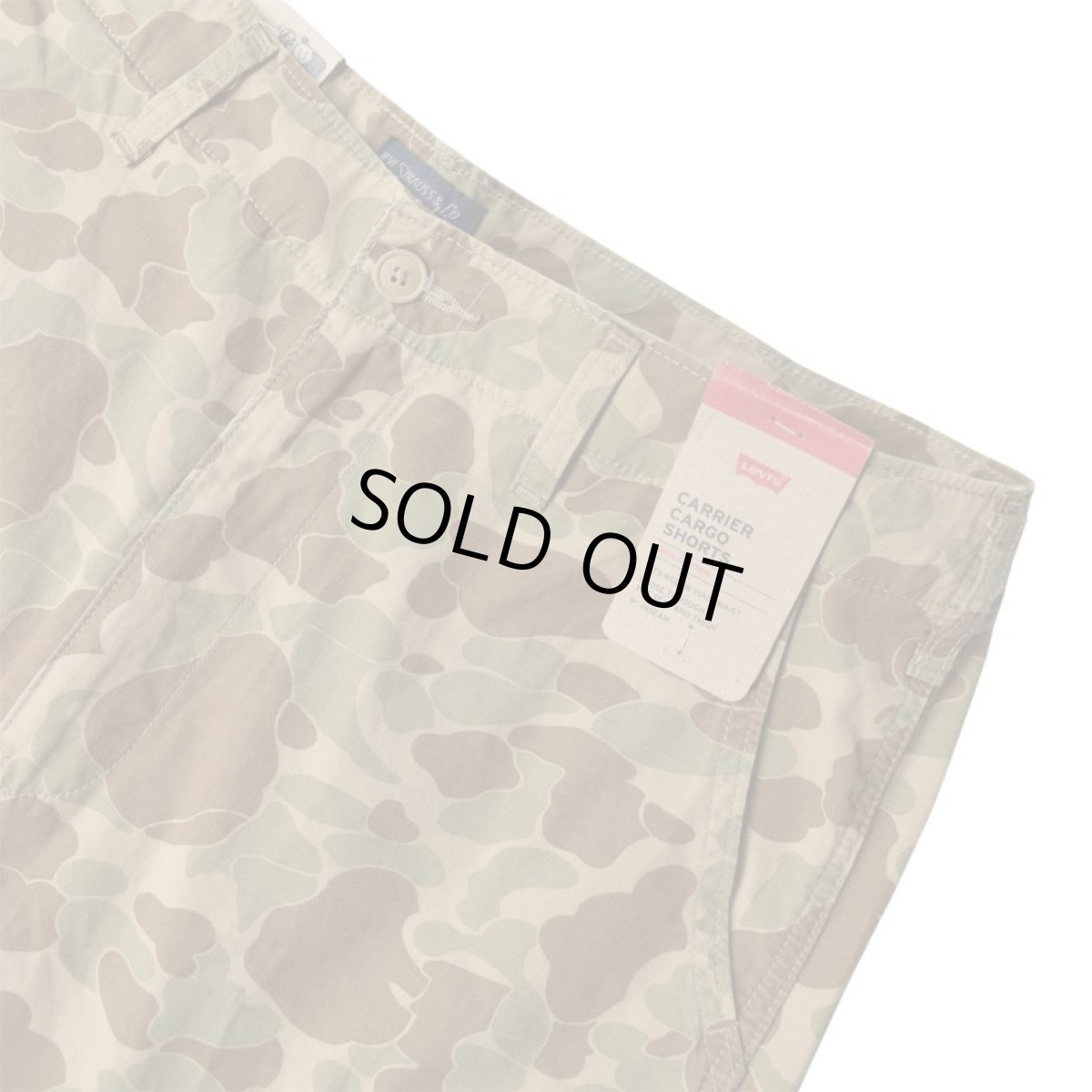 画像3: Levis Carrier Cargo Shorts - Duck Hunter Camo (3)