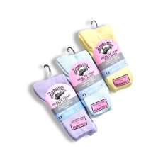 画像1: The Railroad Sock 2pack Pastel Therapeutic Crew Socks / レイルロードソック 2足組 パステルカラー クルーソックス (1)