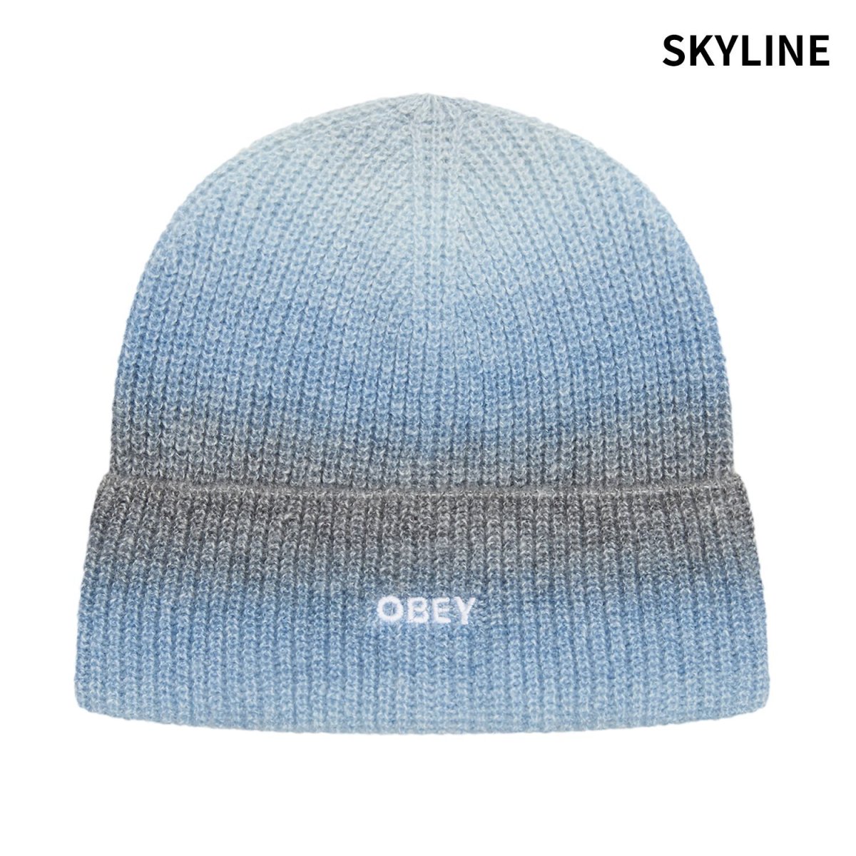 画像2: OBEY Sully Beanie / オベイ (2)