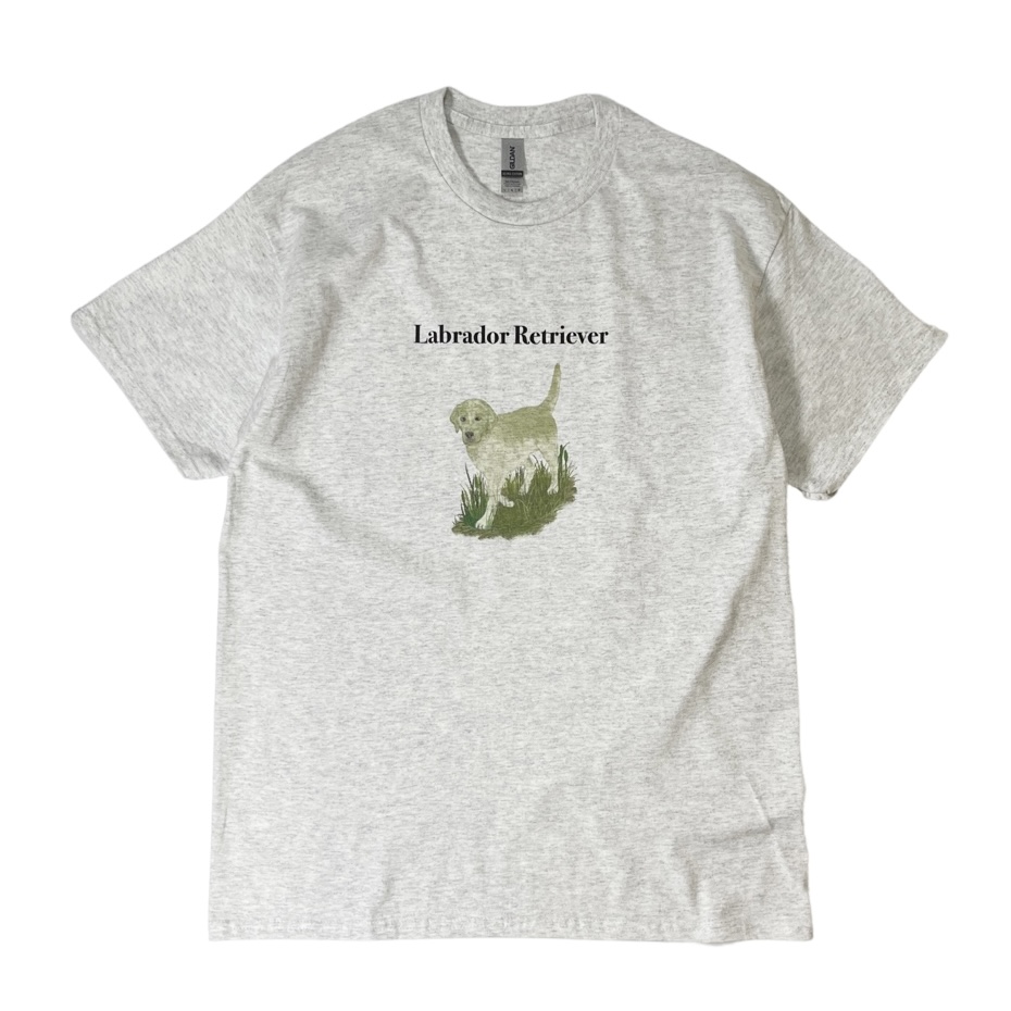 画像1: Labrador Retriever S/S T-Shirts Ash / ラブラドール・レトリバー Tシャツ アッシュグレー (1)