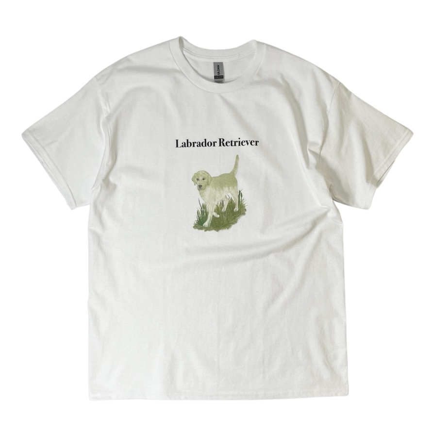 画像1: Labrador Retriever S/S T-Shirts White / ラブラドール・レトリバー Tシャツ ホワイト (1)